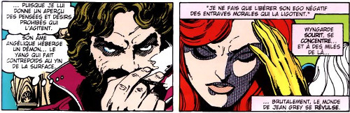 Résumé de La Saga du Phénix Noir