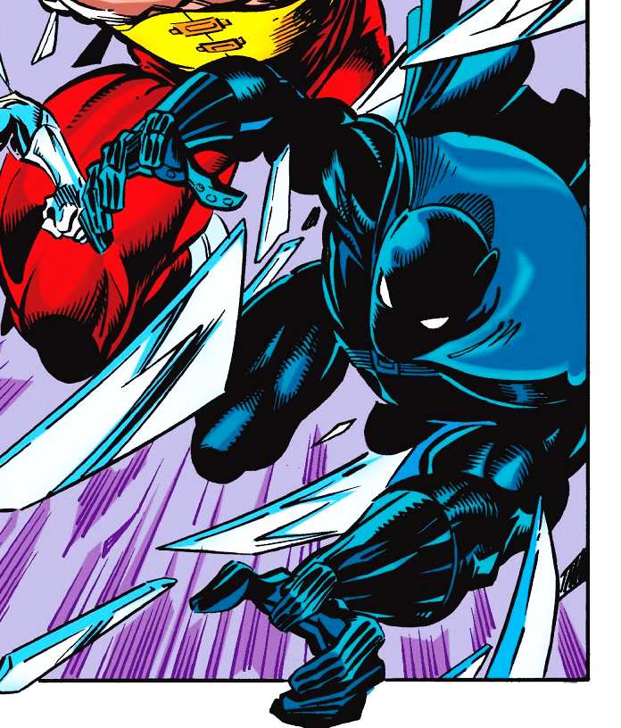 Panthère noire black panther