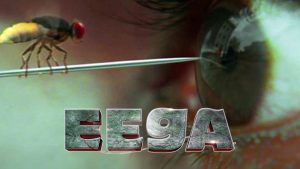 Eega mouche vengeresse